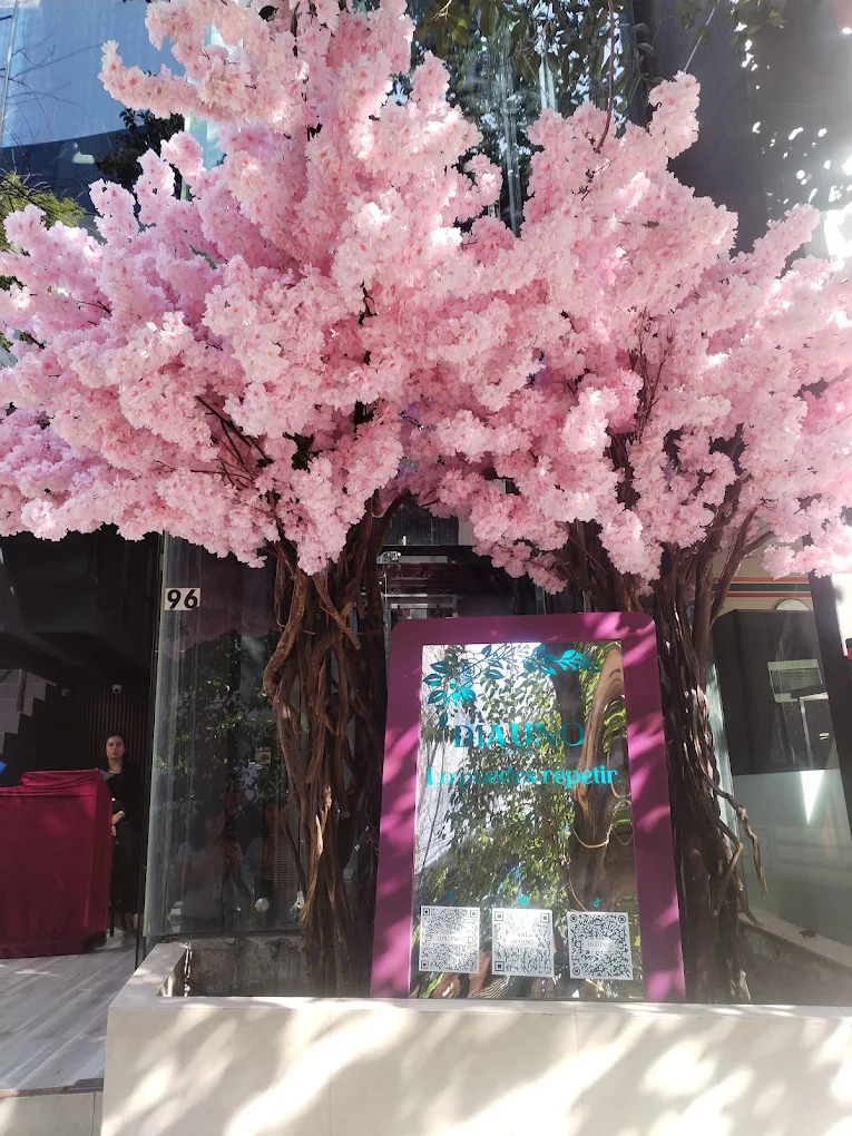 Día Uno